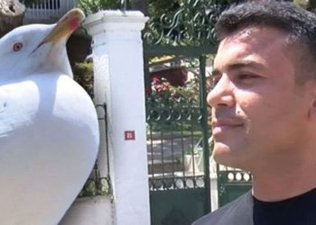 Kopan Kulağı Martı Kapmıştı: O Olayı Anlattı