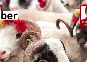 Kurban Fiyatları Uçtu