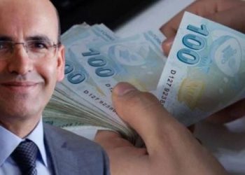 Mehmet Şimşek kimdir, kaç yaşında ve nereli?