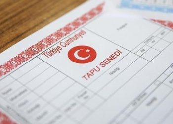 Okuma-Yazma Bilmeyen Babasını Tapuda Kandırdı