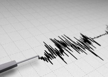 Papua Yeni Gine’de 5.9 büyüklüğünde zelzele