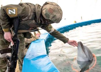 Rus donanmasını yunuslar koruyormuş