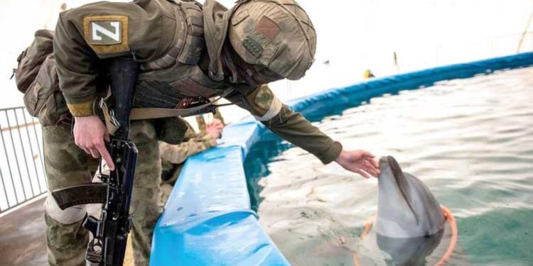 Rus donanmasını yunuslar koruyormuş