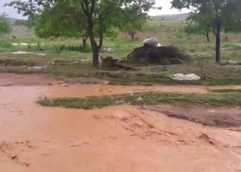 Sağanak ve dolu hayatı felç etti: Onlarca hayvan öldü!