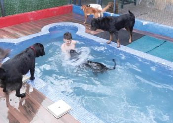 Sahipleri tatilde onlar pet otelde