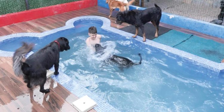 Sahipleri tatilde onlar pet otelde