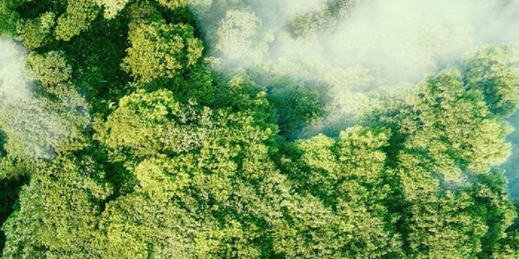 Toplanan 29,4 ton elektronik atık yüzlerce çocuğun eğitimine dayanak oldu