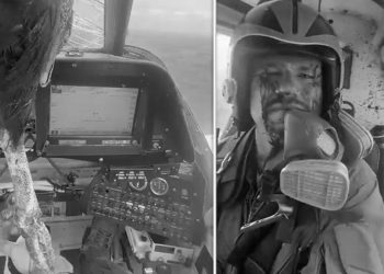 Uçağa çarpan kuş kokpite girdi, pilot kanlar içinde kaldı