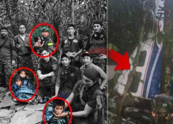 Uçakları düşen 4 çocuk, 40 gün sonra ormanda sağ bulundu! Dünyanın konuştuğu mucize…