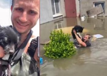 Ukraynalı boksör, sel bölgesinde hayvanları ve yaşlıları kurtarıyor