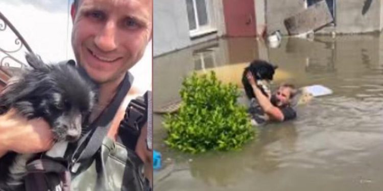 Ukraynalı boksör, sel bölgesinde hayvanları ve yaşlıları kurtarıyor