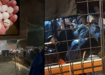 Ünlü müzikçinin konserinde can pazarı! Başlarına ceviz büyüklüğünde dolu yağdı: 90 kişi yaralandı