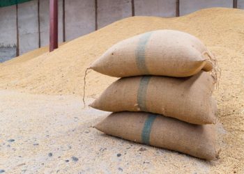 Üreticiler buğday ve arpada daha fazla alım yapılmasını istiyor: Yüksek alım çiftçiyi rahatlatır