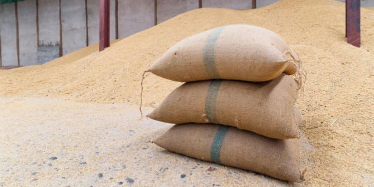 Üreticiler buğday ve arpada daha fazla alım yapılmasını istiyor: Yüksek alım çiftçiyi rahatlatır