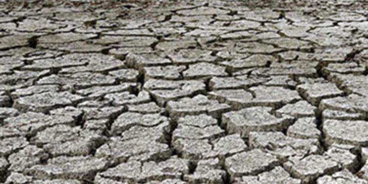 Uruguay’da su krizi: Hükümet başkentte acil durum ilan etti