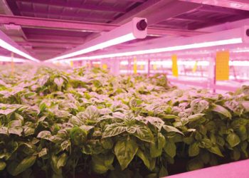 Uzayda tarım atılımı