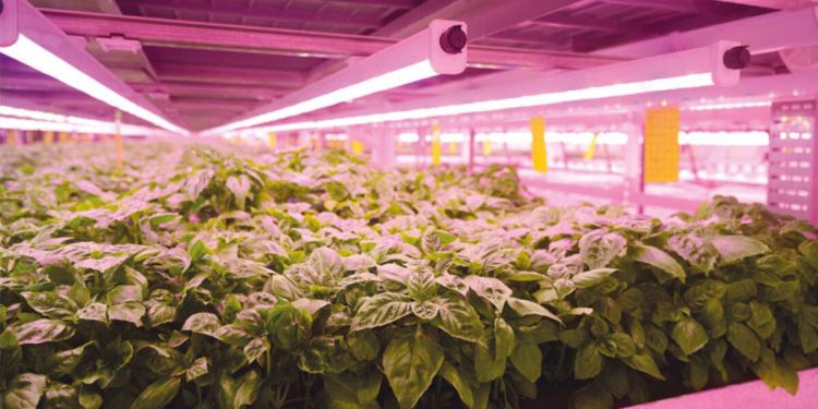 Uzayda tarım atılımı