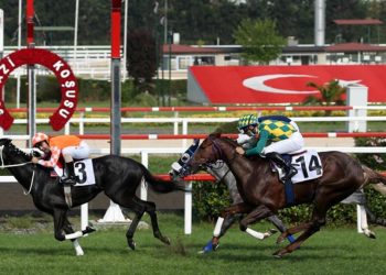 Ve mükemmel atlar Cumhuriyet’in 100. yılında Gazi’nin huzuruna çıkıyor