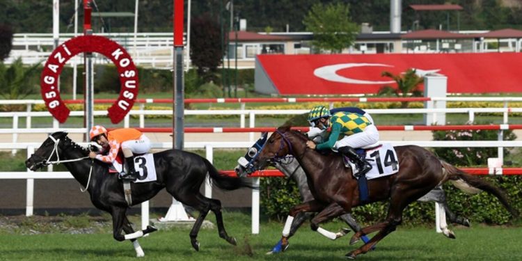 Ve mükemmel atlar Cumhuriyet’in 100. yılında Gazi’nin huzuruna çıkıyor