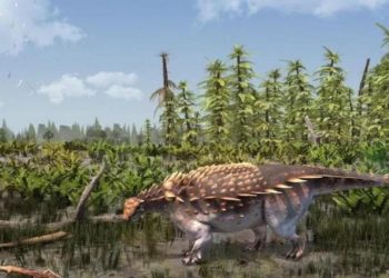 Yeni bir dinozor çeşidi keşfedildi