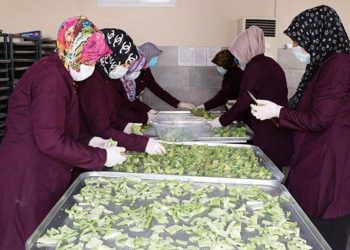 Zerzevat ve meyveler için kurutma merkezi açıldı