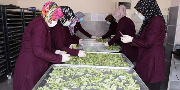 Zerzevat ve meyveler için kurutma merkezi açıldı