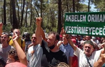 Muğla Valiliği’nden geçte olsa açıklama geldi