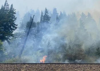 ABD’de orman yangını: 10 mesken yandı, 540 dönüm alan küle döndü