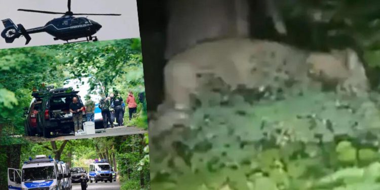 Almanya dalga konusu oldu! 200 silahlı işçi, zırhlı araçlar, helikopterler ve ziyan olan yüzbinlerce Euro…