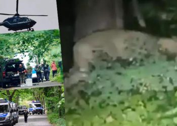 Almanya dalga konusu oldu! 200 silahlı işçi, zırhlı araçlar, helikopterler ve ziyan olan yüzbinlerce Euro…