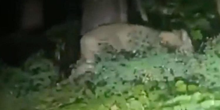 Almanya’da aslan alarmı! Helikopterler, Drone’lar, zırhlı araçlar devreye girdi, hoparlör anonsları ile ihtar: Evinizden çıkmayın