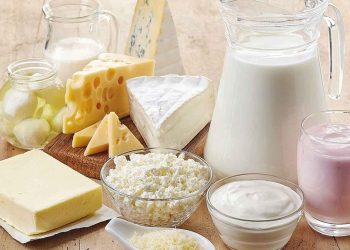 Arap ülkeleri tipinin birinci vizesi sütçülere çıktı