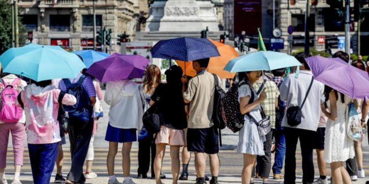 Avrupa kavruluyor… Dünya Meteoroloji Örgütü’nden rekor uyarısı!