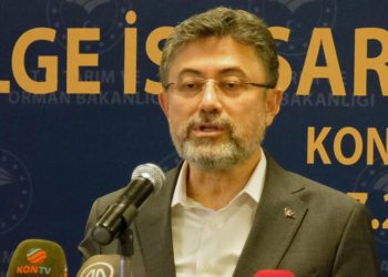 Bakan Yumaklı: Yangınlarda 6 bin 900 hektar alan ziyan gördü