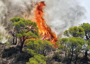 Binlerce kişi tahliye edildi… Rodos’ta yangın durdurulamıyor