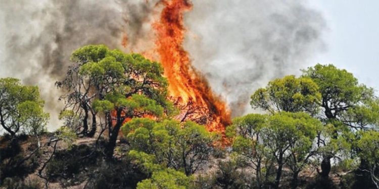 Binlerce kişi tahliye edildi… Rodos’ta yangın durdurulamıyor