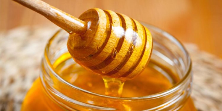 Bir kilo balın maliyeti tespit edildi