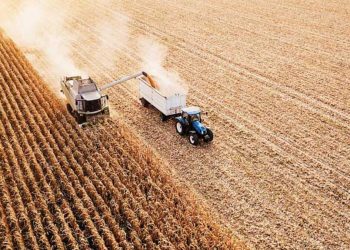 Buğdayda ‘koridor’ tedirginliği! Rusya’nın mutabakattan çekilmesi hasat periyodu sonrası fiyatları yükseltebilir