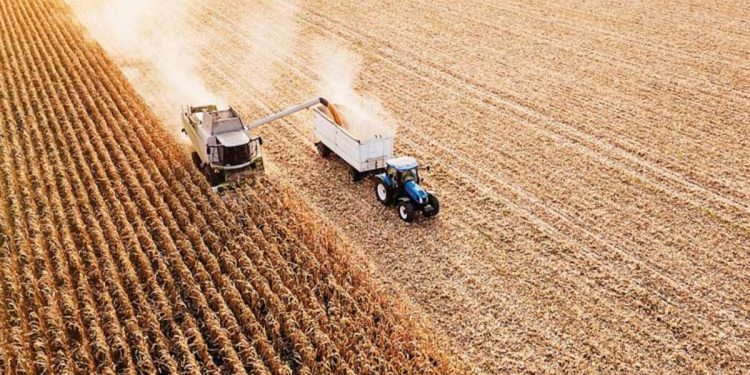 Buğdayda ‘koridor’ tedirginliği! Rusya’nın mutabakattan çekilmesi hasat periyodu sonrası fiyatları yükseltebilir