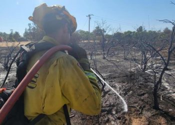 California’da 4 farklı noktada orman yangını