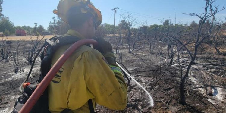 California’da 4 farklı noktada orman yangını