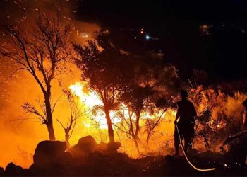 Cezayir’de orman yangını 15 can aldı