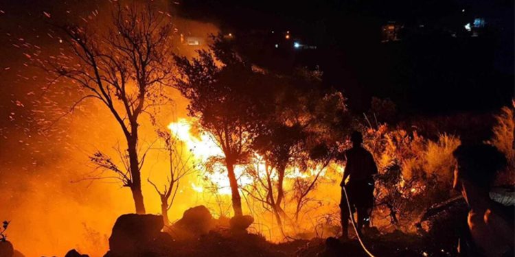 Cezayir’de orman yangını 15 can aldı