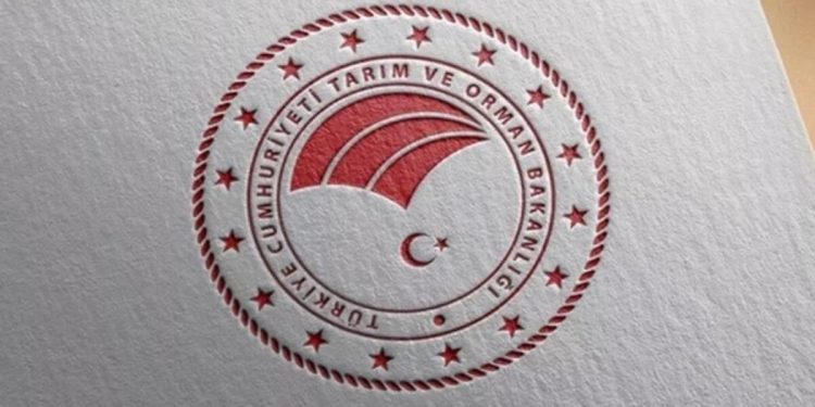 Coğrafik işaretli eserler dünyaya tanıtılacak