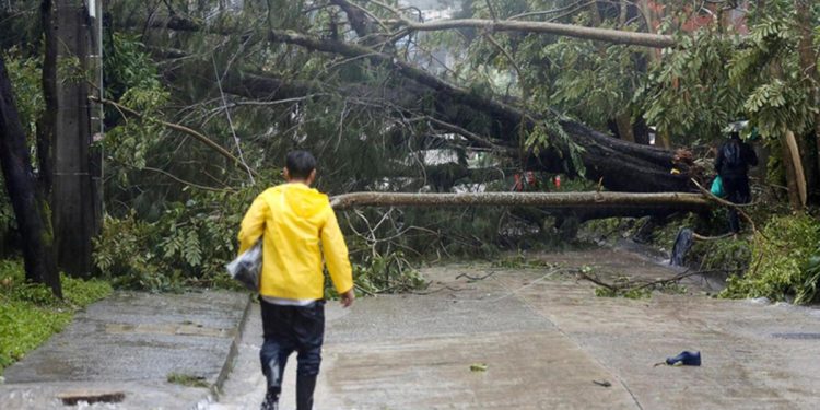 Doksuri Tayfunu’nda 2 can kaybı