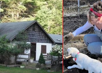 Eski çocuk yıldız, artık kulübede yaşıyor… Ne saçını boyuyor, ne makyaj yapıyor: Pis kokulu ve üzgün bir konuttu, artık yuva oldu