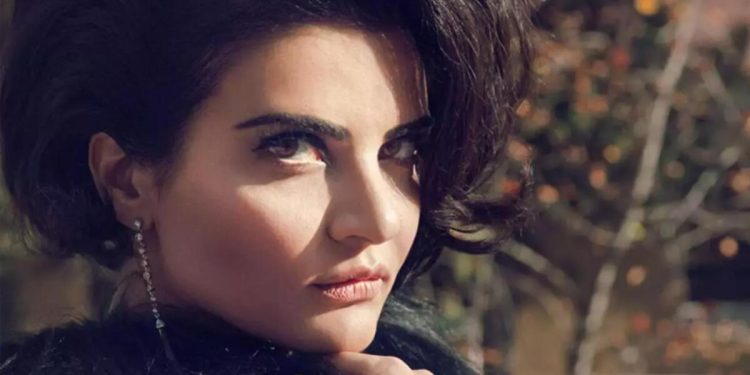 Göksel’in konserinde bahtsız anlar: 2 kişi yaralandı