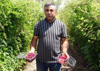 Hobi olarak üretmeye başladı, taleplere yetişemiyor! Bahçeden çıkmadan tükeniyor