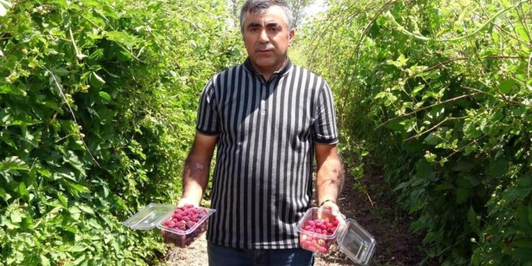 Hobi olarak üretmeye başladı, taleplere yetişemiyor! Bahçeden çıkmadan tükeniyor