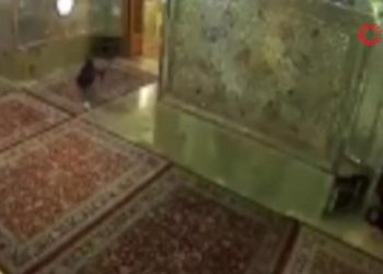 İran türbe saldırganlarını idam etti